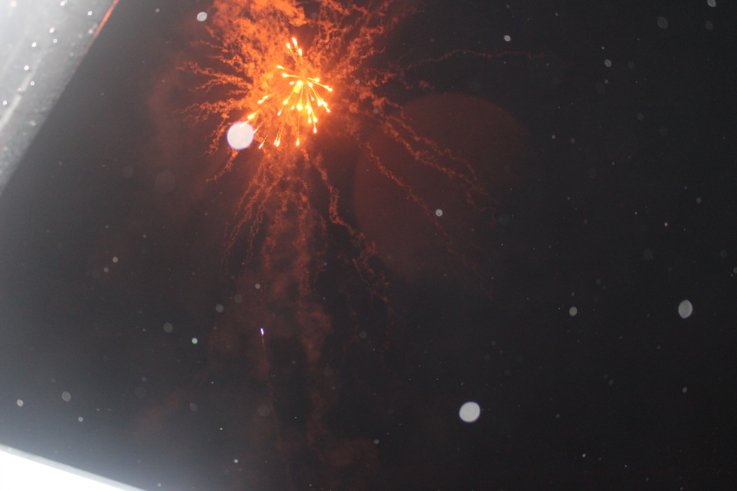Fireworks Night